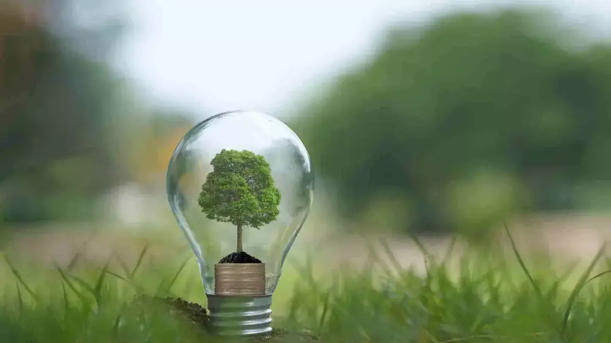 Sostenibilidad en la logística: El camino hacia un futuro verde